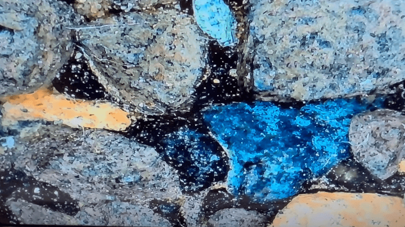 Untreated half of a 15-year-old shingle mat, under magnification
